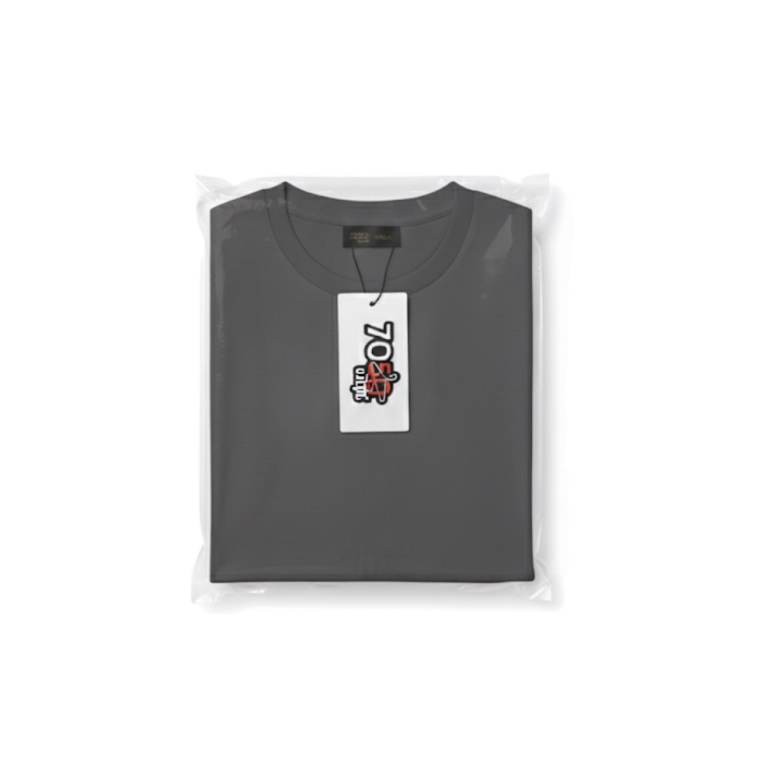 Basic T-shirt “GREY”